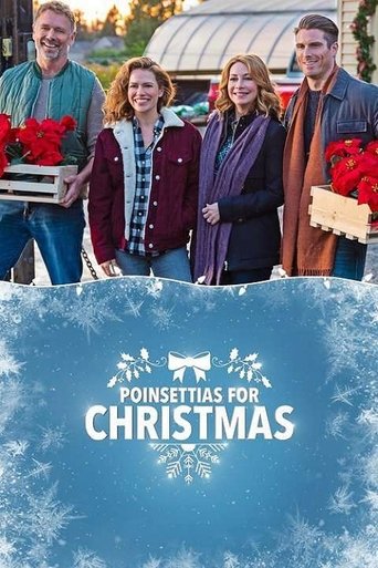 Poinsettias for Christmas Poster of Poinsettias for Christmas