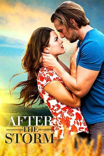 After the Storm Poster of After the Storm