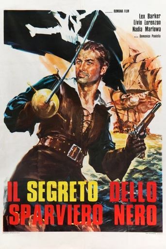 The Secret of the Black Falcon Poster of The Secret of the Black Falcon