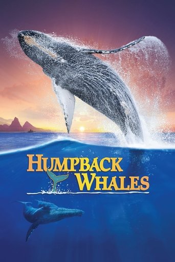 Humpback Whales Poster of Humpback Whales