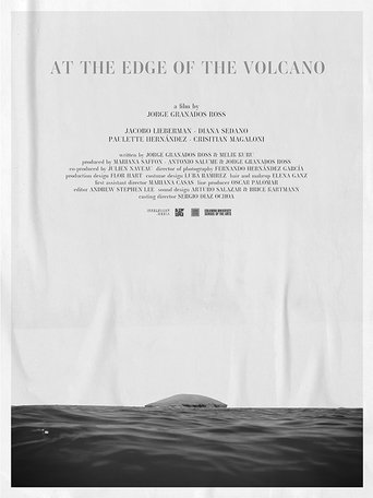 At the Edge of the Volcano Poster of At the Edge of the Volcano