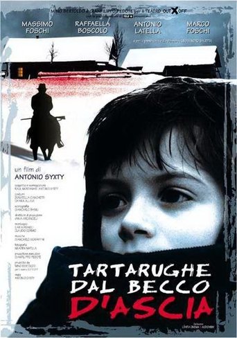 Tartarughe dal becco d'ascia Poster of Tartarughe dal becco d'ascia