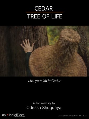 Cedar Tree of Life Poster of Cedar Tree of Life