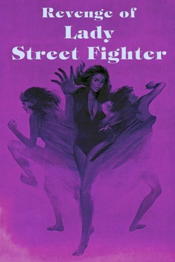 Revenge of Lady Street Fighter Poster of Revenge of Lady Street Fighter
