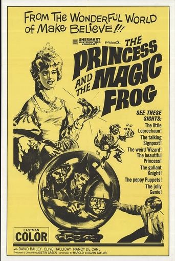 The Princess and the Magic Frog Poster of The Princess and the Magic Frog