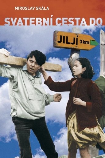Bridal Tour to Jilji Poster of Bridal Tour to Jilji