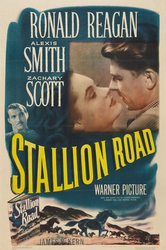 Stallion Road Poster of Stallion Road