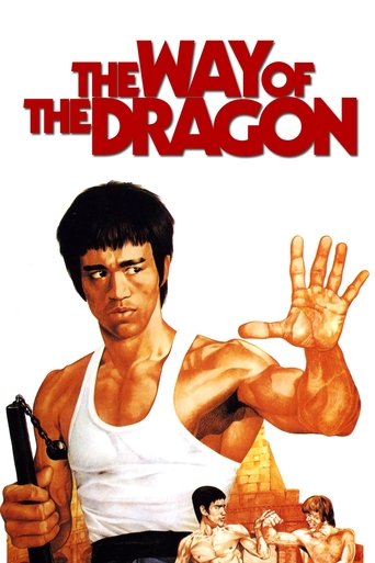 The Way of the Dragon Poster of The Way of the Dragon