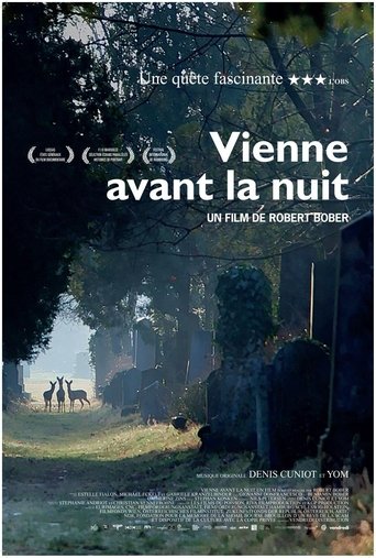 Vienne avant la nuit Poster of Vienne avant la nuit