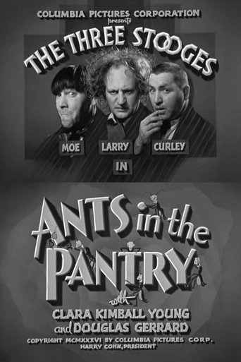 Ants in the Pantry Poster of Ants in the Pantry