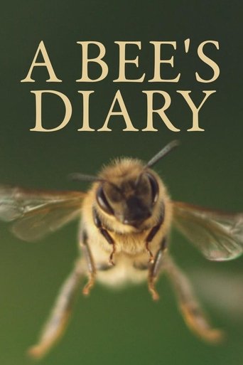 A Bee's Diary Poster of A Bee's Diary