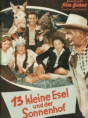 13 Little Donkeys and the Sun Court Poster of 13 Little Donkeys and the Sun Court