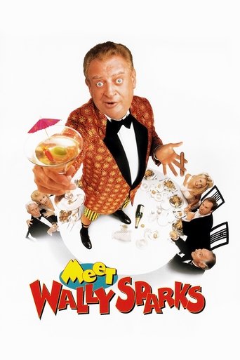 Meet Wally Sparks Poster of Meet Wally Sparks