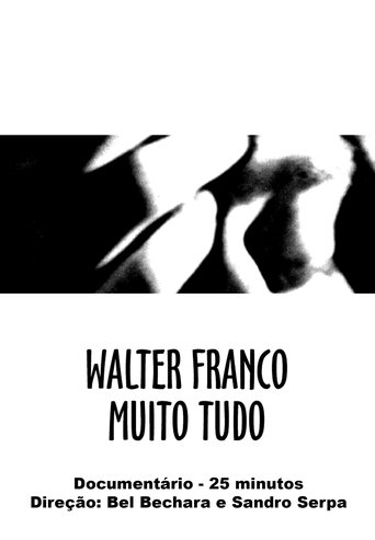 Walter Franco Much Everything Poster of Walter Franco Much Everything