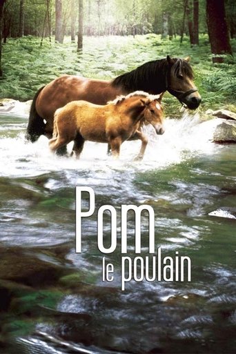 Pom, le poulain Poster of Pom, le poulain