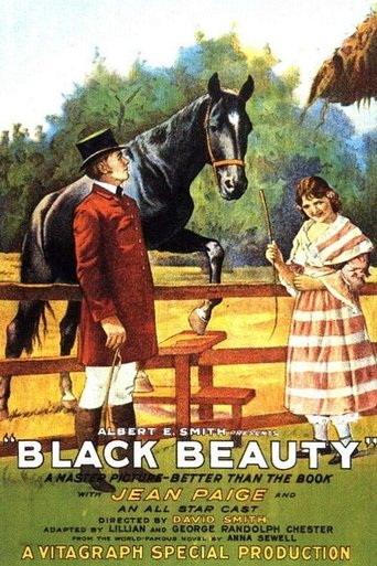 Black Beauty Poster of Black Beauty