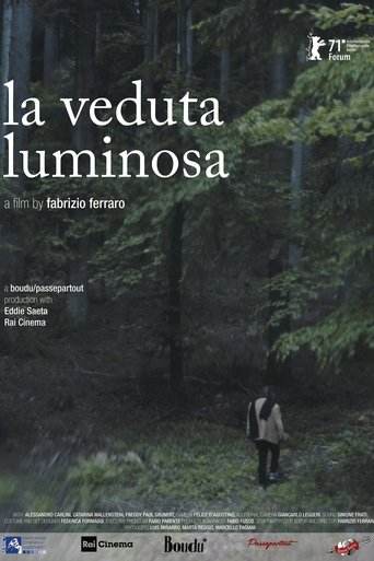 The Luminous View Poster of The Luminous View