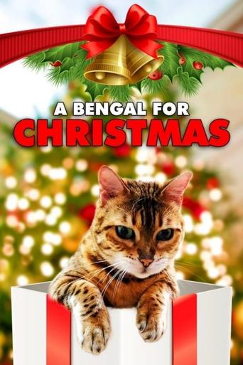 A Bengal for Christmas Poster of A Bengal for Christmas