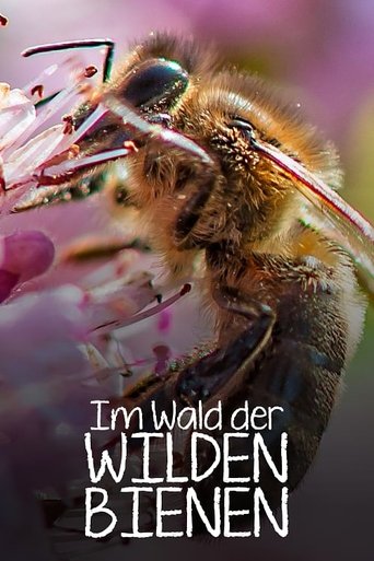 Im Wald der wilden Bienen Poster of Im Wald der wilden Bienen