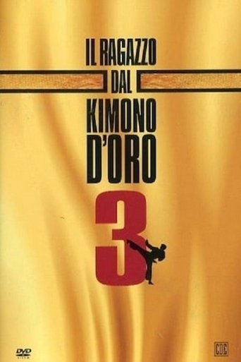Karate Warrior 3 Poster of Karate Warrior 3