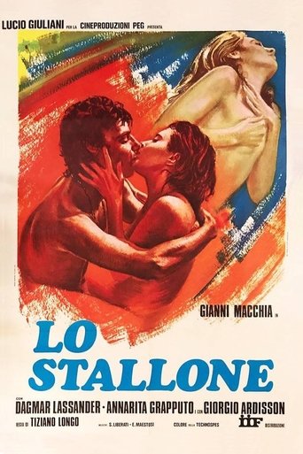 Lo stallone Poster of Lo stallone