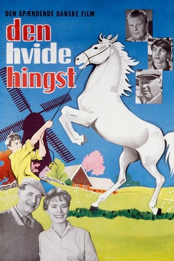 The Boy Who Loved Horses Poster of The Boy Who Loved Horses
