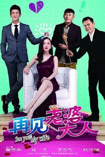 再见老婆大人 Poster of 再见老婆大人