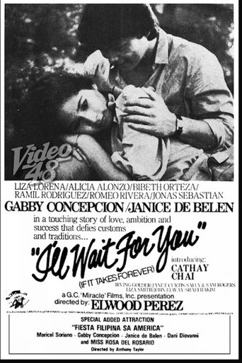 I'll Wait For You (If It Takes Forever) Poster of I'll Wait For You (If It Takes Forever)