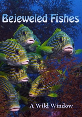 Wild Window: Bejeweled Fishes Poster of Wild Window: Bejeweled Fishes