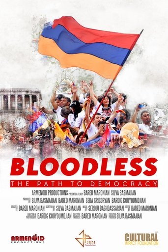 Bloodless: The Path to Democracy Poster of Bloodless: The Path to Democracy