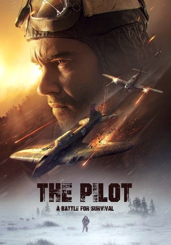 The Pilot: A Battle for Survival Poster of The Pilot: A Battle for Survival