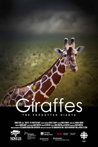 Giraffes: The Forgotten Giants Poster of Giraffes: The Forgotten Giants