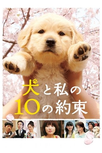 10 Promises to My Dog Poster of 10 Promises to My Dog