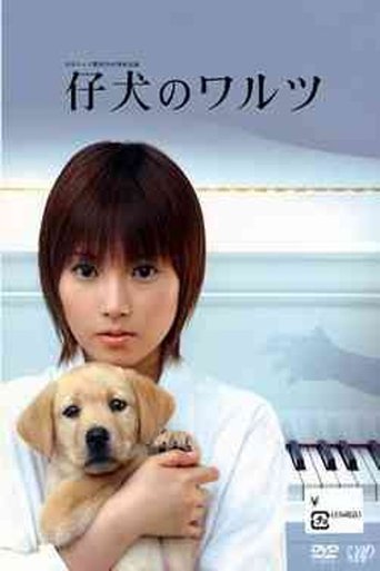 Waltz of Her Heart Poster of Waltz of Her Heart