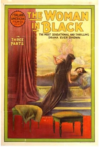 The Woman in Black Poster of The Woman in Black