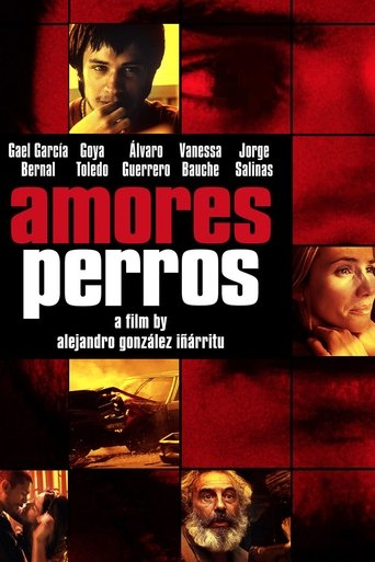 Amores Perros Poster of Amores Perros
