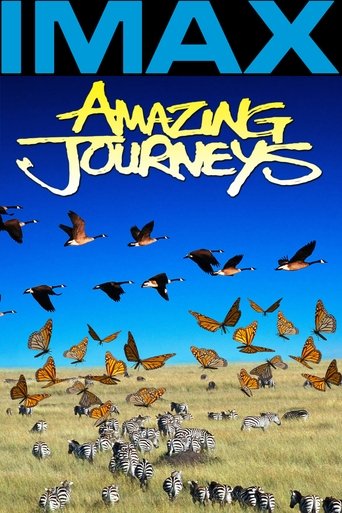 Amazing Journeys Poster of Amazing Journeys