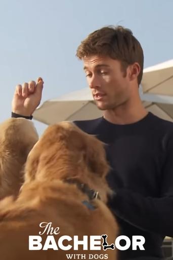 The Bachelor with Dogs and Scott Eastwood Poster of The Bachelor with Dogs and Scott Eastwood