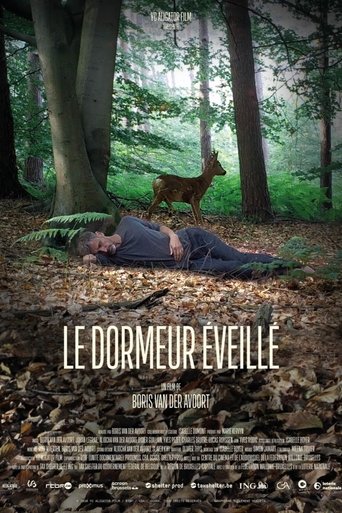 The Wakeful Sleeper Poster of The Wakeful Sleeper