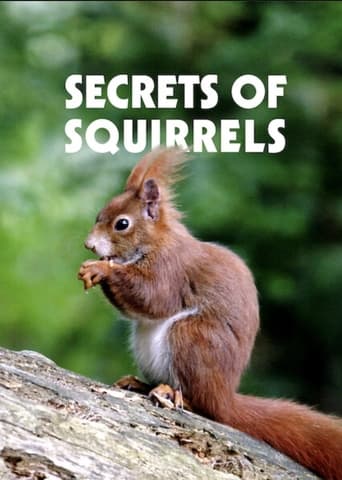 Secrets of Squirrels Poster of Secrets of Squirrels