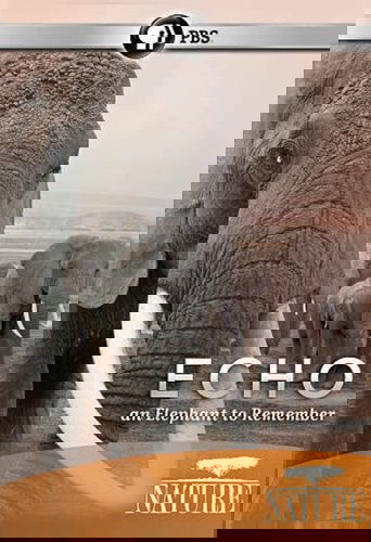 Echo: An Elephant to Remember Poster of Echo: An Elephant to Remember