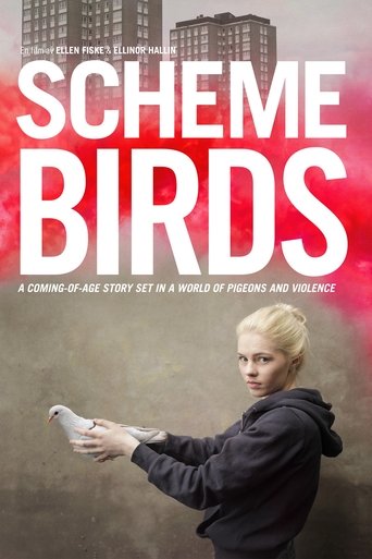 Scheme Birds Poster of Scheme Birds