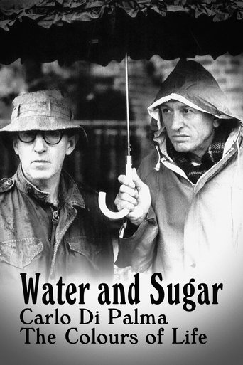 Water and Sugar: Carlo Di Palma, the Colours of Life Poster of Water and Sugar: Carlo Di Palma, the Colours of Life
