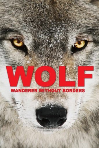 Wolf: Wanderer Without Borders Poster of Wolf: Wanderer Without Borders