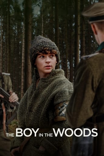 The Boy in the Woods Poster of The Boy in the Woods