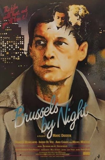 Brussels by Night Poster of Brussels by Night