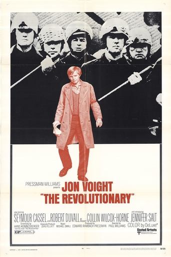 The Revolutionary Poster of The Revolutionary