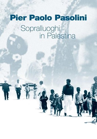 Scouting in Palestine Poster of Scouting in Palestine