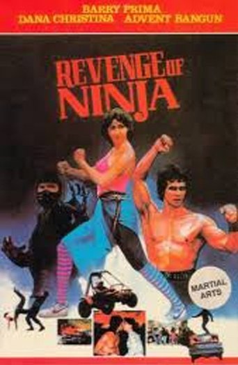 Revenge of the Ninja Poster of Revenge of the Ninja