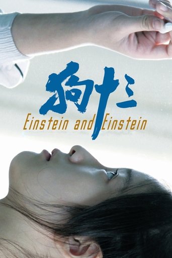 Einstein and Einstein Poster of Einstein and Einstein